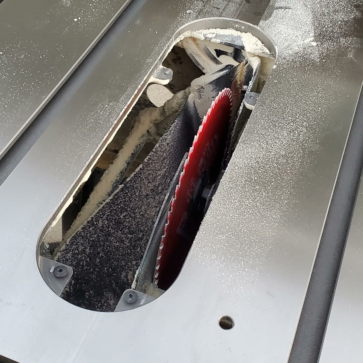 Acornwerx's tweet photo. What it looks like when you don't have any dust collection for your table saw. 🥴
.
.
#tablesaw #tablesawdustcollection #sawdust #tablesawdust #acornwerx #woodshop #woodworking https://t.co/Sr5QoRHvw2