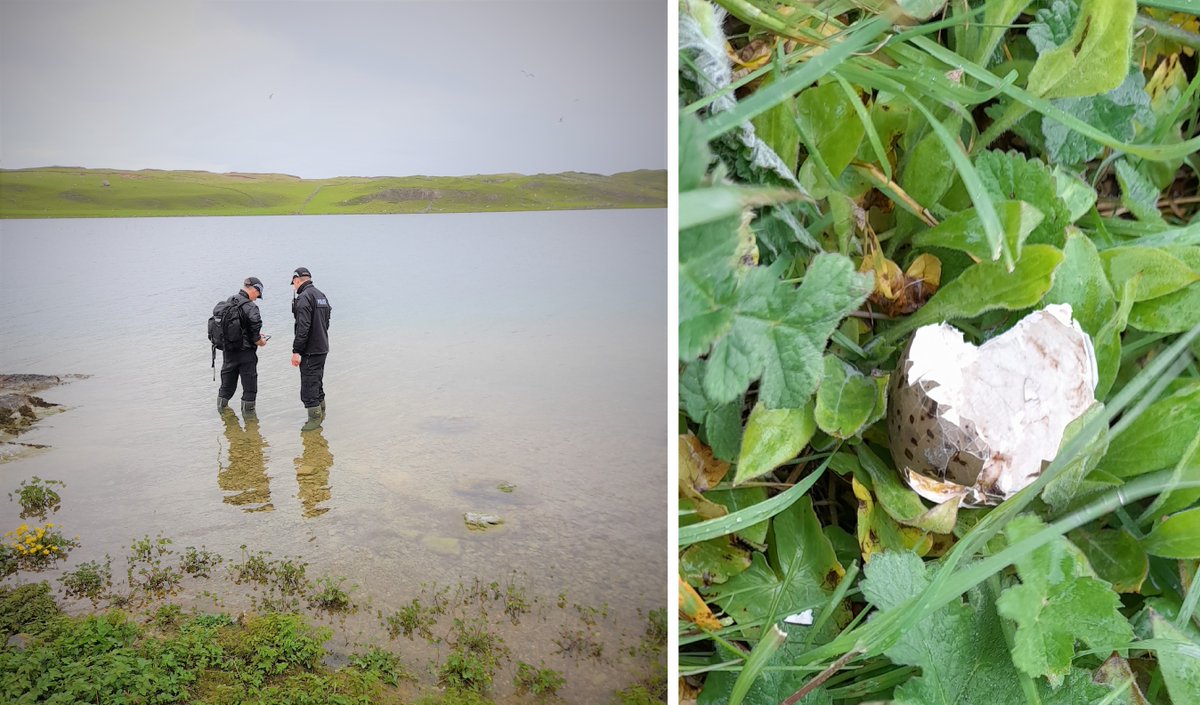 Northern Police on Twitter "We have the conviction at Tain