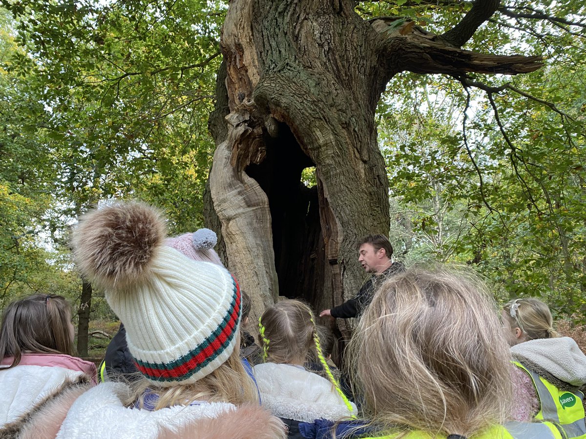 Owl Class tweet media