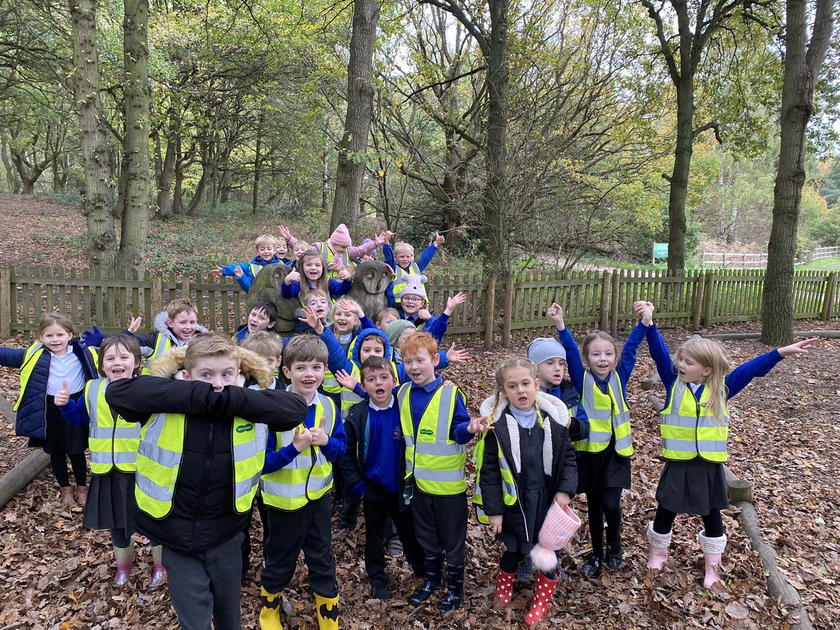 Owl Class tweet media