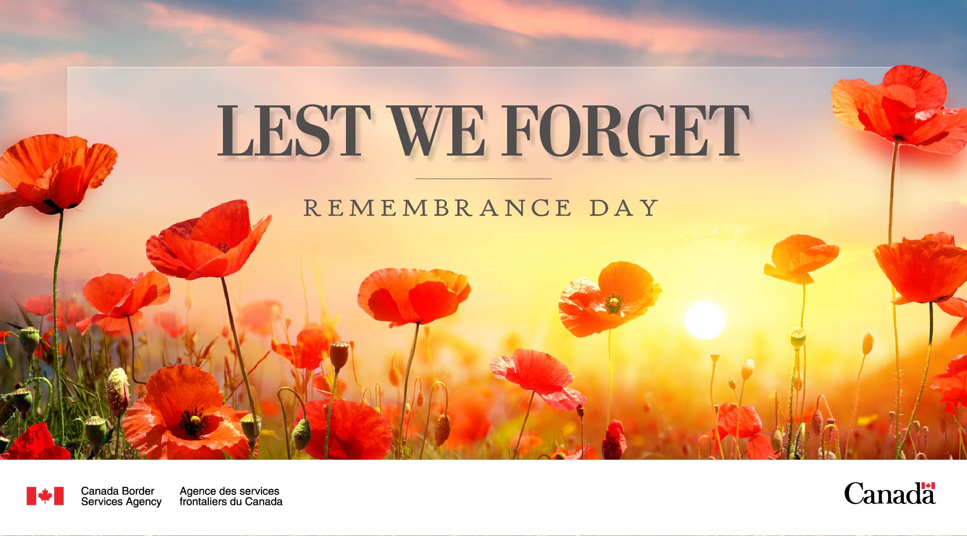 Canadian Remembrance Day Images