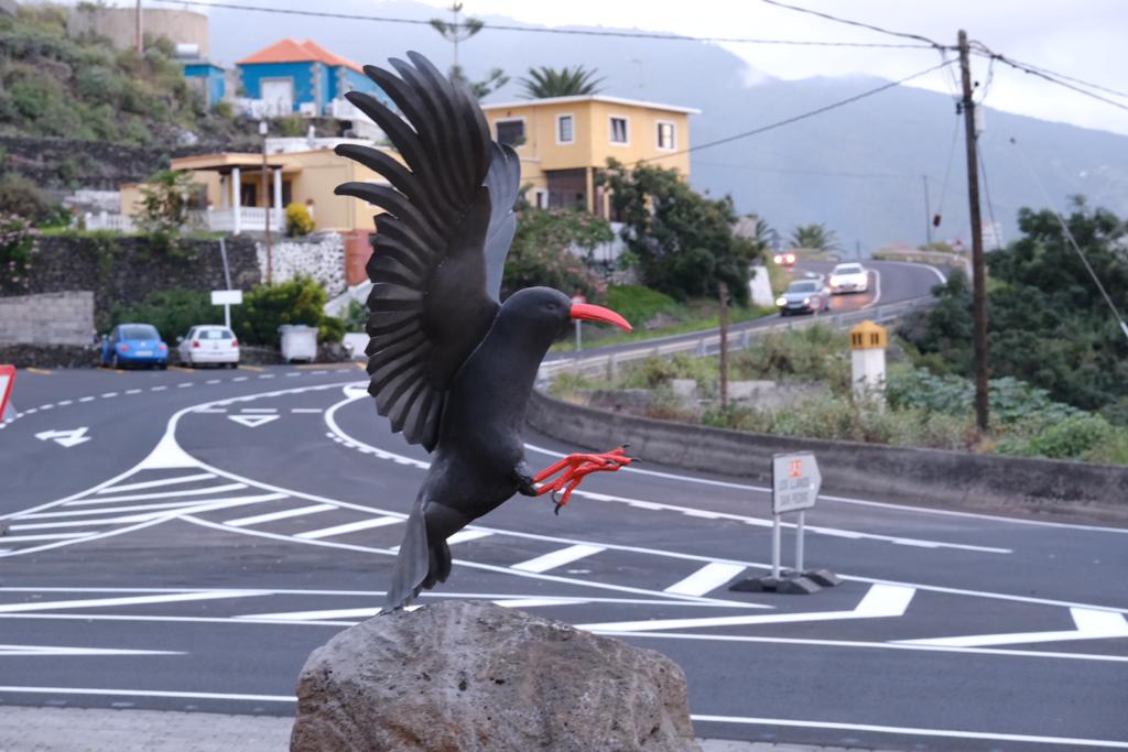 ElTimeLaPalma's tweet photo. El Cabildo de La Palma rinde homenaje a la graja en la rotonda de La Grama #lapalma #rotonda #lagrama #graja #obras #cabildodelapalma https://t.co/O8NbldhMoS https://t.co/NTPewc9PjO