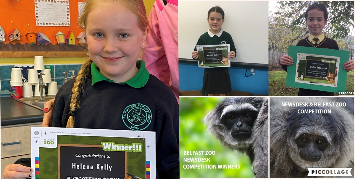 Huge thanks to the 500 pupils who entered the Newsdesk Belfast Zoo competition. Massive congratulations to Helena who has won a class visit from some of the animals and creatures from Belfast Zoo - and to Helen and Caoimhi who will be adopting a zoo monkey and red panda!