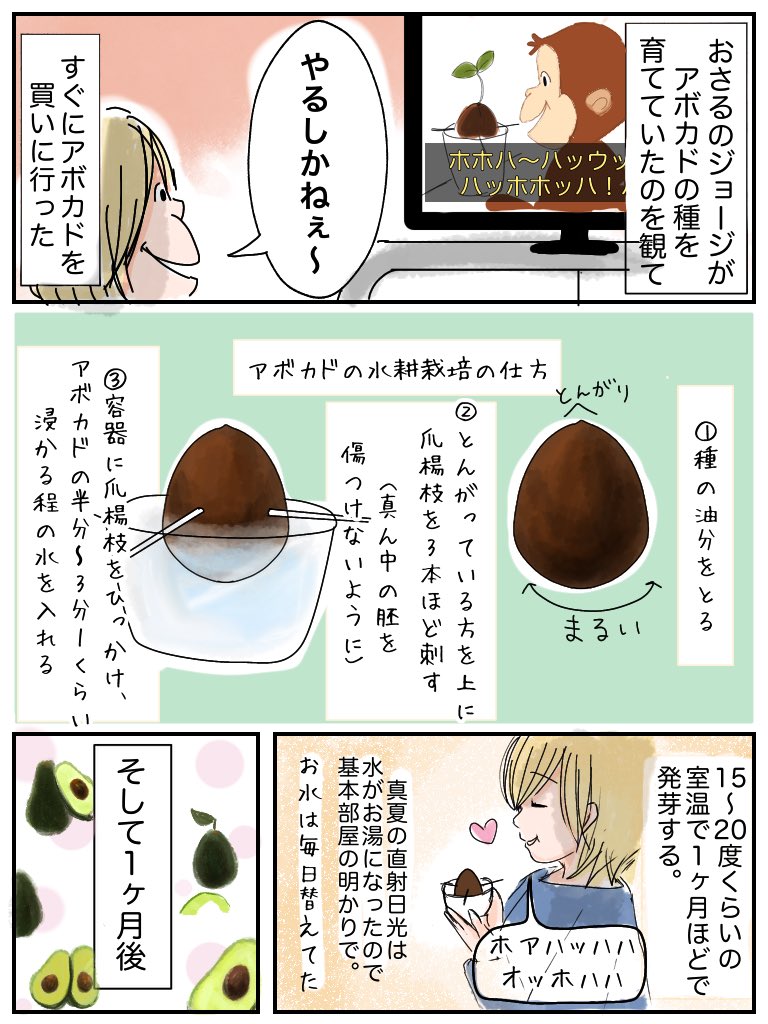 1個98円のアボカドの種を育ててみた
#育児漫画 #なんか良かった日記
#漫画が読めるハッシュタグ 