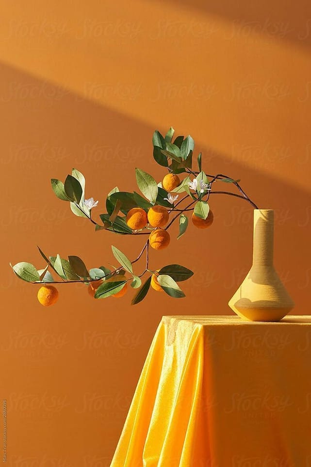 fraveris's tweet photo. "The orange tree took time to create this masterpiece.."

~ Thich Nhat Hanh

Art: Marc Tran https://t.co/tR97O1lf9e