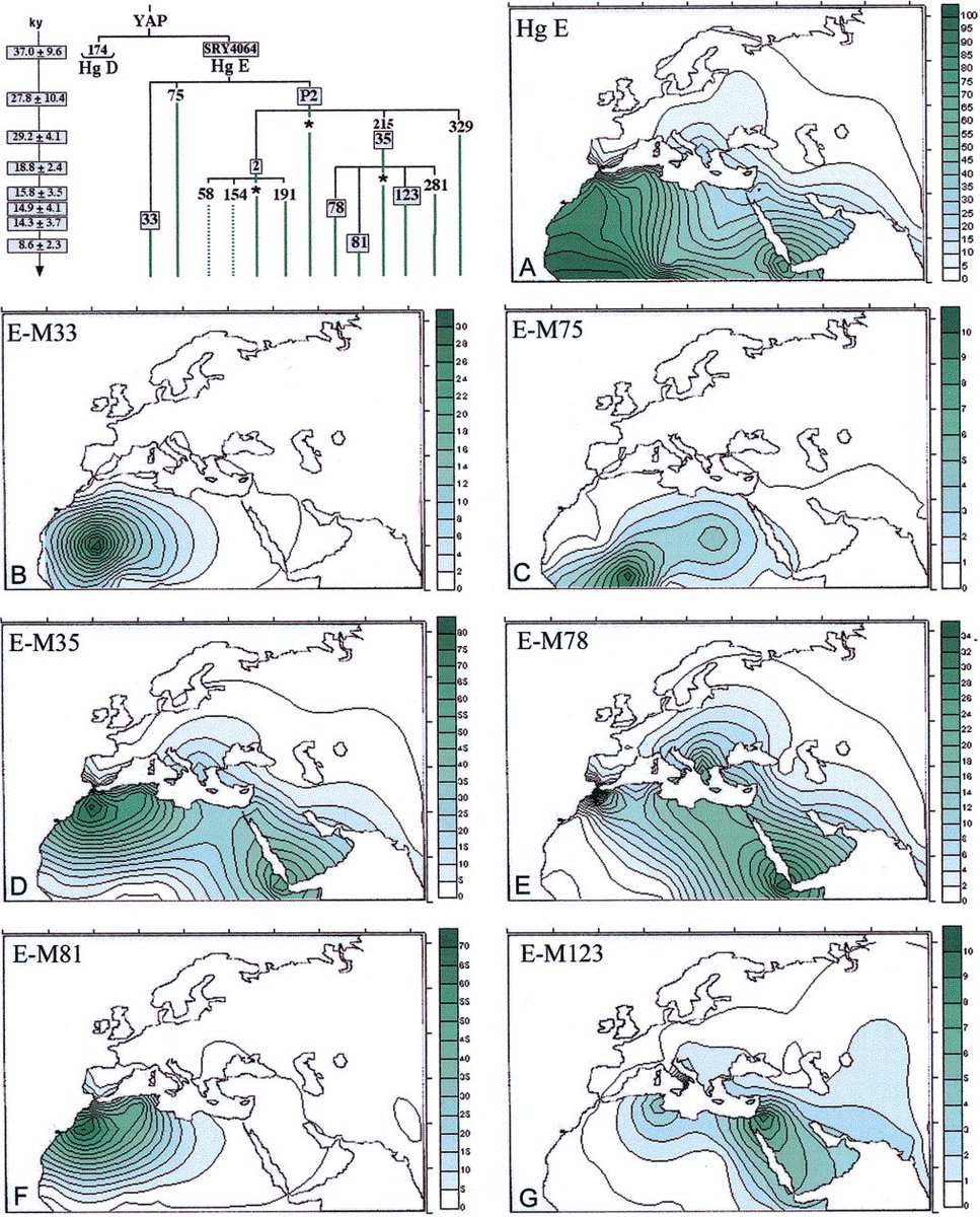 AsianJPlantSci's tweet photo. Phylogeography is the study of the historical processes that may be responsible for the past to present geographic distributions of genealogical lineages. This is accomplished by considering the geographic distribution of individuals in light of genetics. https://t.co/Jg9Oxppp2i