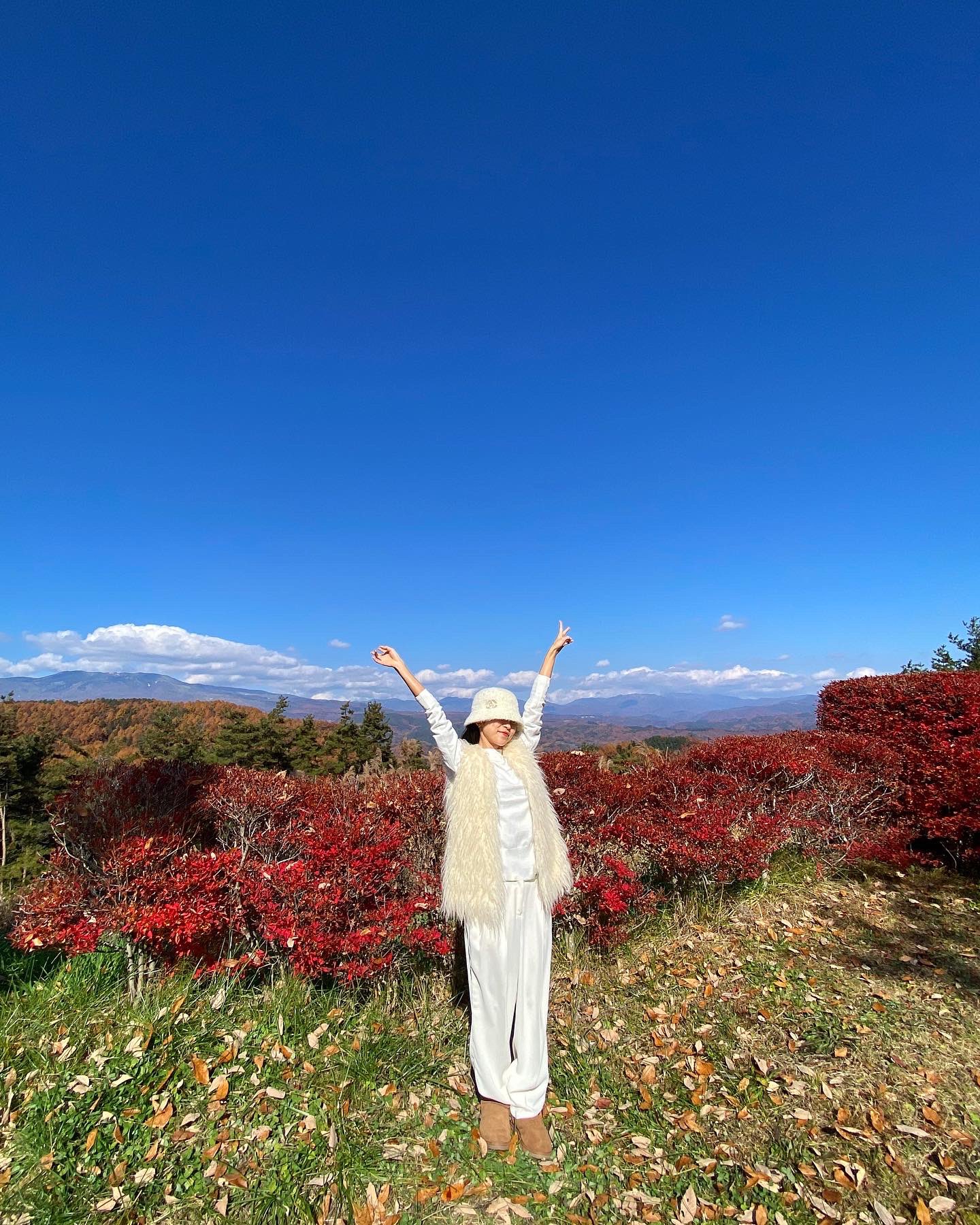 RINA TOEDA on Twitter "such a beautiful autumn leaves season 🍁🍂🫶 https