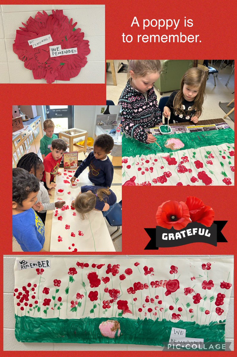 Mrs DT (@mrs_dt) on Twitter photo Our K1 class family has been talking about why we are wearing poppies today in an age-appropriate way. It is our job to teach our students about Canada’s past as they are our future! <a href="/PineGrovePS/">Pine Grove P.S. 🌲</a> <a href="/dsbn/">District School Board of Niagara</a> Our K1 class family has been talking about why we are wearing poppies today in an age-appropriate way. It is our job to teach our students about Canada’s past as they are our future! <a href="/PineGrovePS/">Pine Grove P.S. 🌲</a> <a href="/dsbn/">District School Board of Niagara</a>