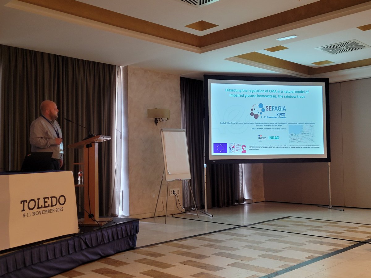 Dissecting the regulation of CMA in a natural model of impaired glucose homeostasis, the rainbow trout. 
Emilio José Vélez Velázquez 
#SEFAGIA2022