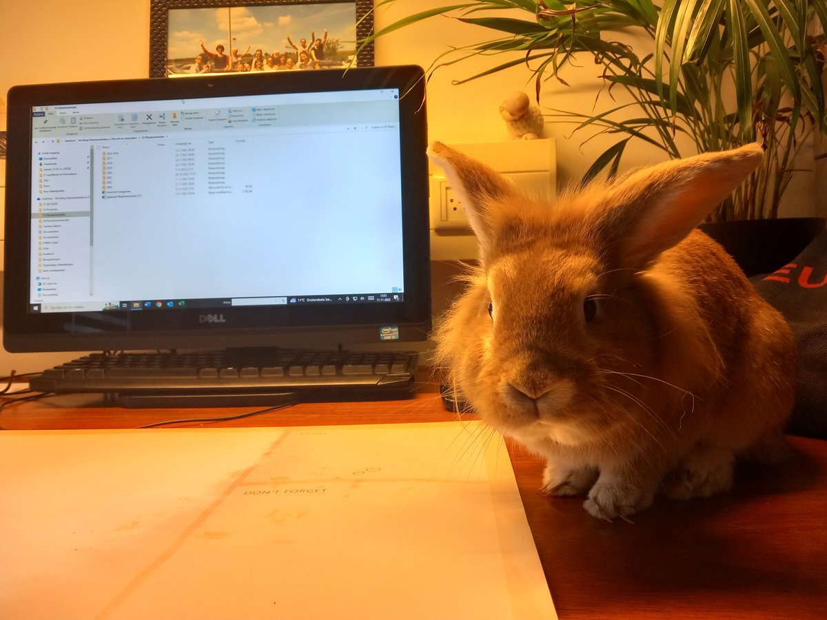 We hebben goede hulp tijdens het invoeren van de administratie. Professor Huppel controleert ons bij iedere stap 😉
