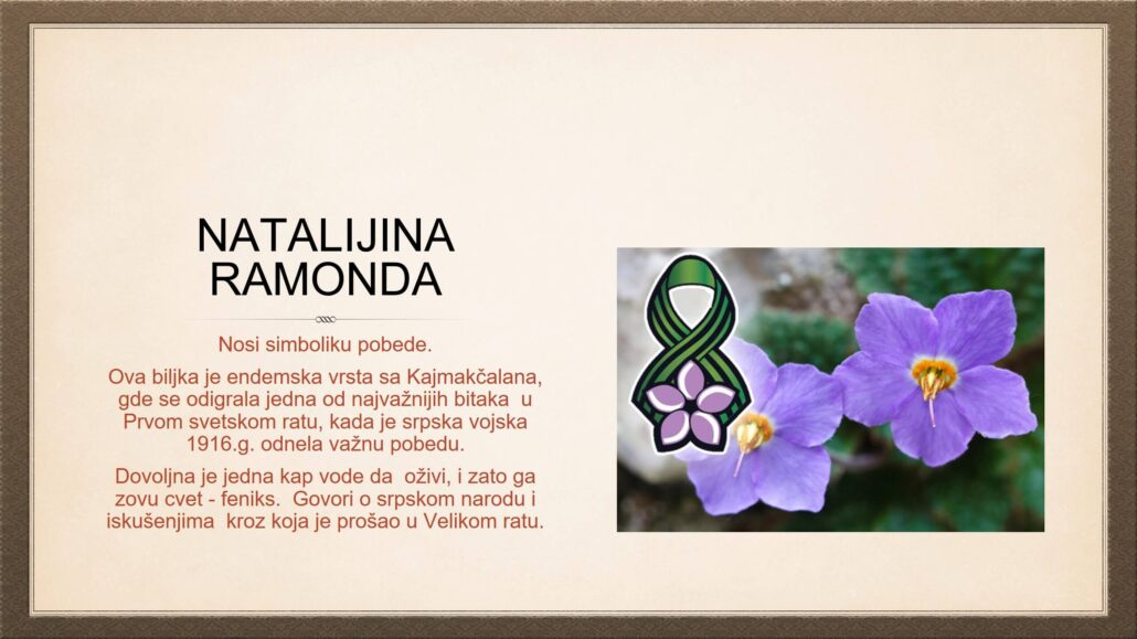 JelenaMKandic's tweet photo. Hvala mojim #DivJunaci💂🏼♀️🌄💂🏻♂️ koji su bili jedan od #1300kaplara i dvojica specijalaca Stepinog #10TakovskiPuk.
Srećan #DanPobede u WW1 svim Srbima sve 4 vere.🔴☪️☦️🔵✝️✡️⚪️
Okupatori u tišini obeležavaju #ArmisticeDay.
Mi ne zaboravljamo pobede #Cer, #Kolubara & #Godun.💪🏻🇷🇸✊🏻 https://t.co/9iG1FUYMfL
