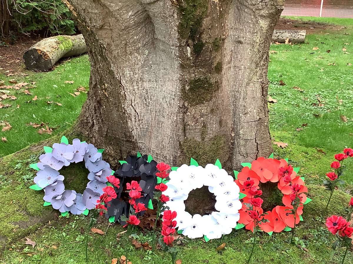 FromeValeYr6's tweet photo. Year 6, led the FVA Remembrance Day Service this morning. Presenting wreaths, reading poems and introducing the themes of remembrance, respect and peace. #cabotfederation https://t.co/vgiAxgly79