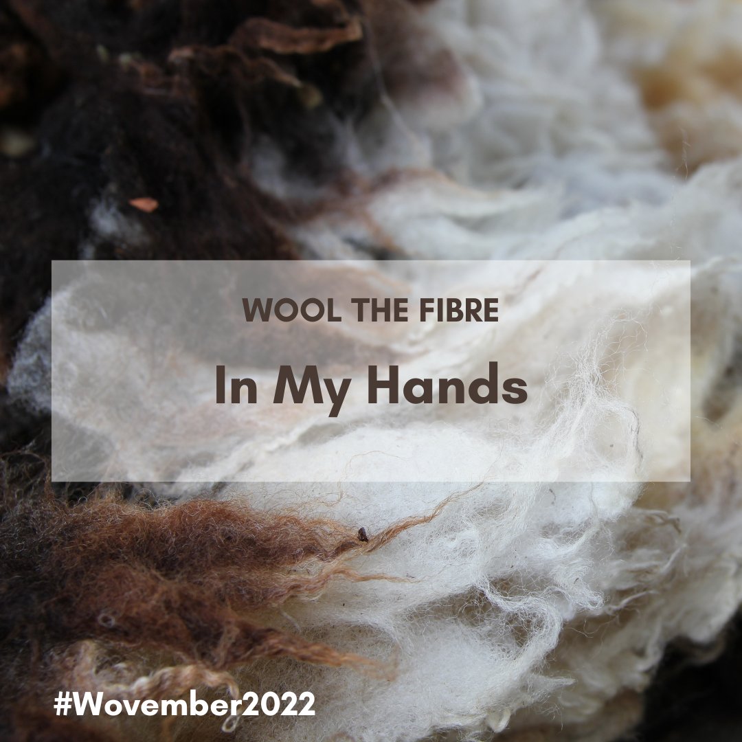 Wovember's tweet photo. Day 11 - In My Hands 🤚✋ for #Wovember2022 prompt.  What's in yours?
#wool #wovember #mywooljourney 
#woolcraft #woolcrafts #crochethook #knittingneedles #weavingloom #spinningwheel #fibre #fibreartist https://t.co/RUM2dNUljY