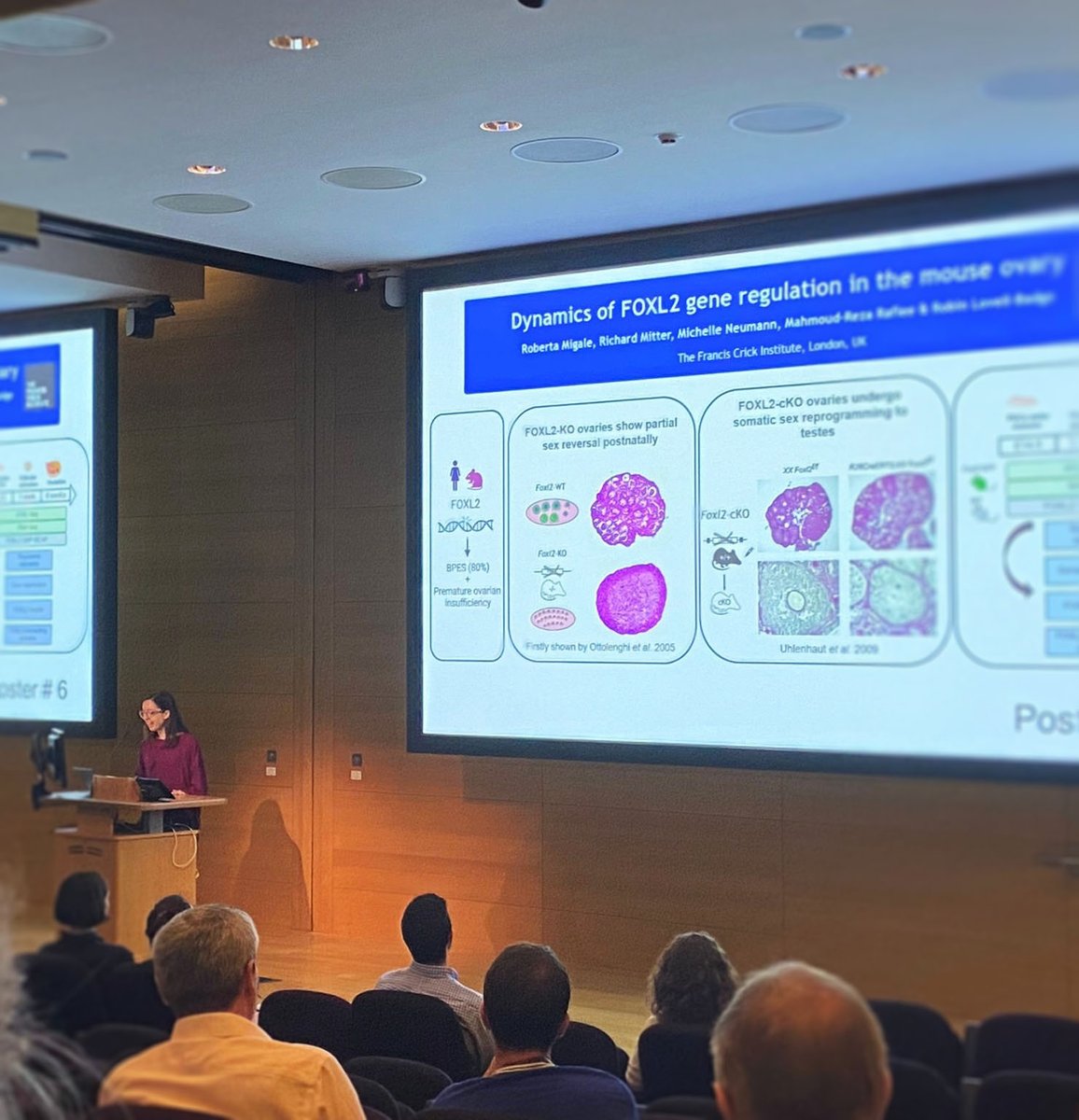 DrMigaleRoberta's tweet photo. β‘Great to give a flash talk at @TheCrick Autumn meetingπ! Thanks for selecting our work for presentation ππΌ I'll be at poster number 6 from 1pm and again at 5pm, do come around for a chat Crick people! π©βπ¬π· https://t.co/FAgnDLfUMs