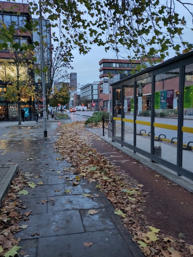 <a href="/ManCityCouncil/">Manchester City Council</a> could you work with <a href="/OfficialUoM/">The University of Manchester</a> and <a href="/ManMetUni/">Manchester Metropolitan Uni</a> to make sure the cycle path on Oxford Road is safe to use? Can't even see the kerbs, really dangerous.