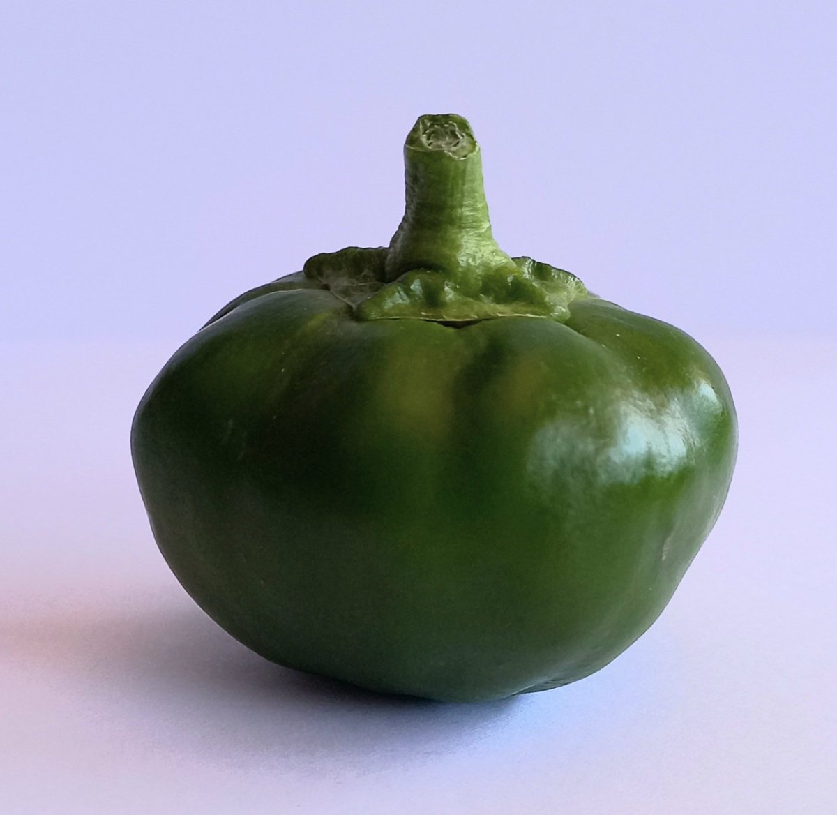 #copifor #pimenton #paprika #spices #especias #sabor #gastronomia #cooking #cuisine #Murcia #color #gourmet  #food #foodie #gastronomy #flavour #cocina #recetas #recipes #comida  #dinner #flavor #condimentos #gusto #taste #murciaquehermosaeres