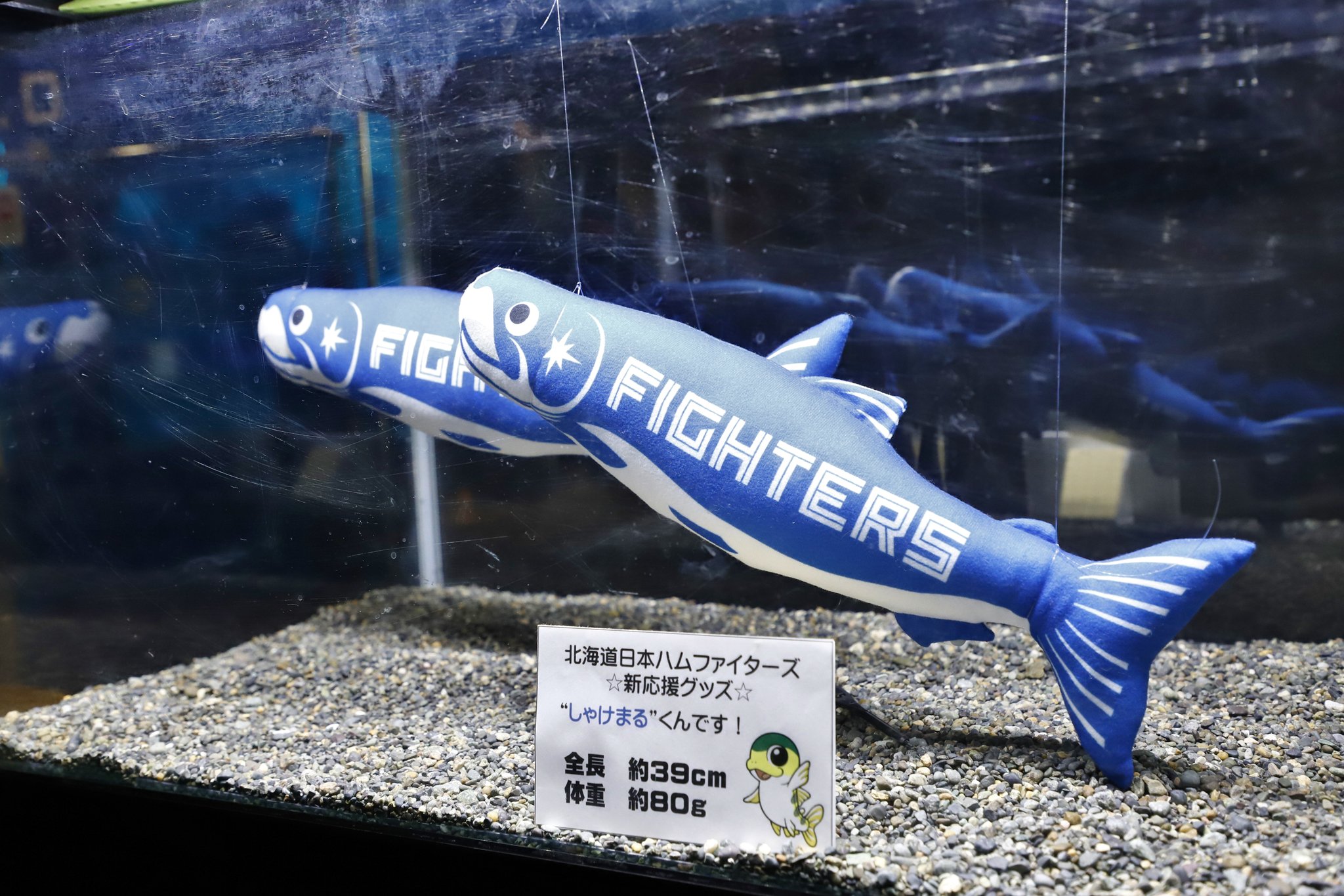 日ハム　しゃけまる　160㎝ しゃけまる 160cm』北海道日本ハムファイターズグッズ