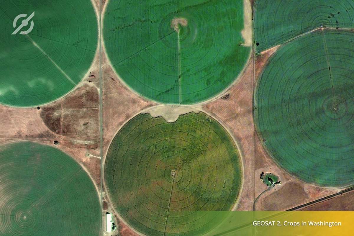 geosat_sat's tweet image. Agricultural structures in #Washington are seen in great detail from the orbit of #GEOSAT2
#DYK that our data is a key source of information to boost productivity? 
Find out more information here: ow.ly/uTLH50LAYmX
#GEOSATSeries #AGRICULTURE #PrecisionAg #SmartAgriculture