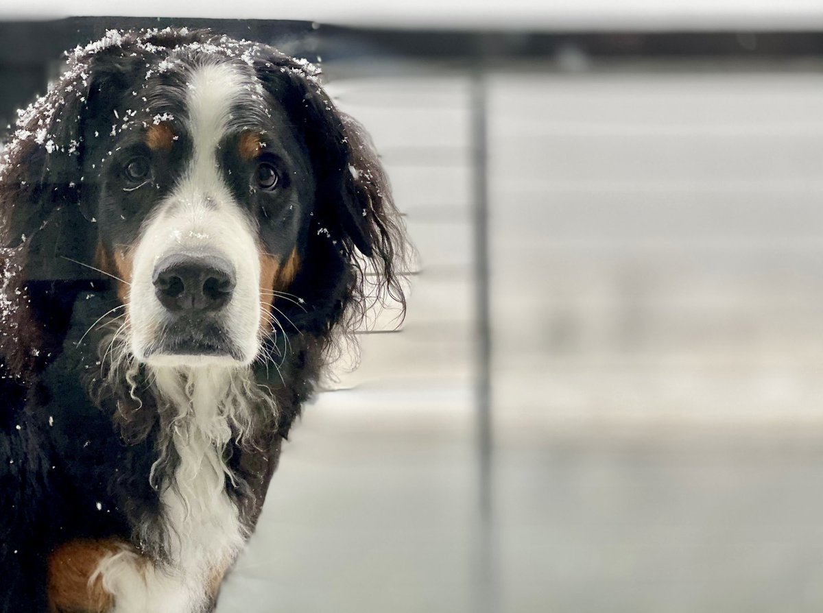 Michael Lazerow tweet media