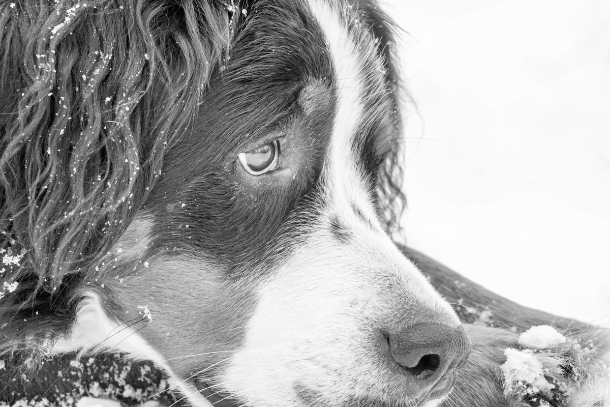 Michael Lazerow tweet media