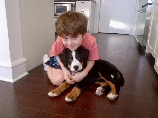 Michael Lazerow tweet media