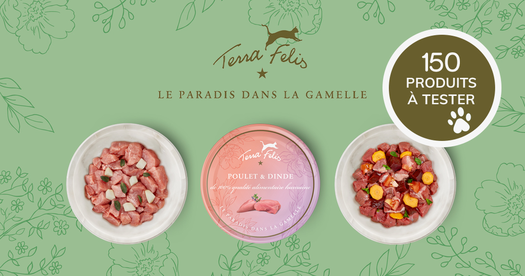 ConsoAnimo's tweet image. Il ne vous reste plus que quelques jours pour vous inscrire au test des menus TERRA FELIS ! 😇😻

#consoanimo #testproduit
consoanimo.com/test/terra-fel…
