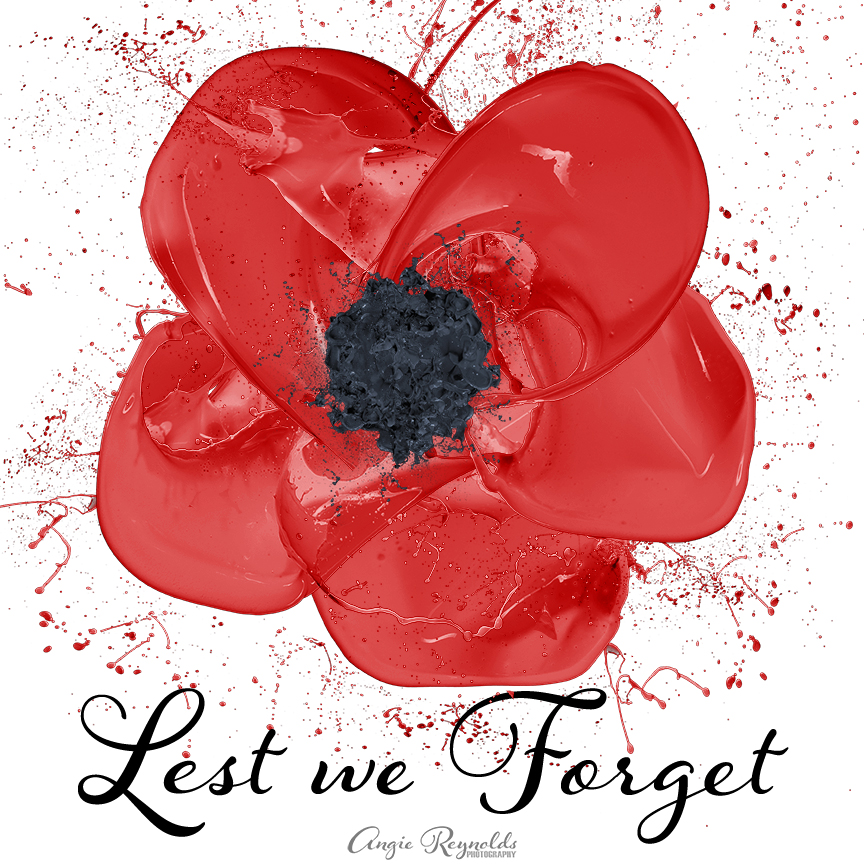 Rememberance day 2022
#rememberanceday #rememberanceday2022 #lestweforget #poppy