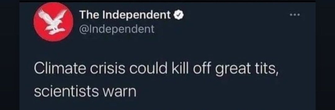 🥲