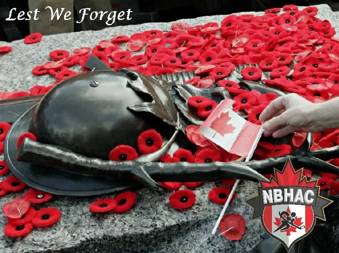 Canada Ball Hockey tweet media