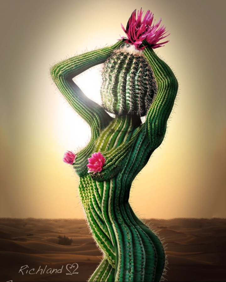 Lady Cactus 🌵
© Richard Pelland
☞ @richlandpsart