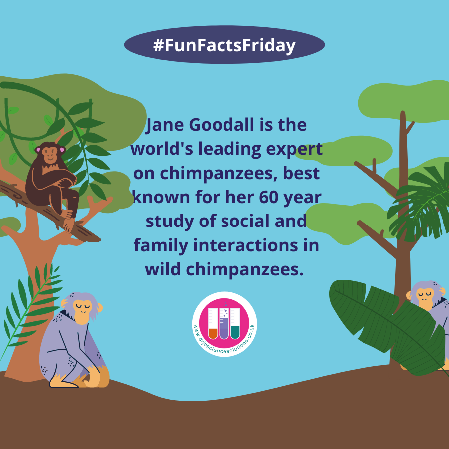 DrJoScience's tweet photo. It's #FridayScience #FriSci with #DrJo 
This week we are taking a closer look at Jane Goodall and her inspiring behavioural work with chimpanzees.
#FamousFriday #FridayFun #PriSci #PrimaryScience #CareersInSTEM #WomenInSTEM #POP22 #WorldScienceDay #ProtectOurPlanet #FunFactsFri https://t.co/D37AQ9QPhY