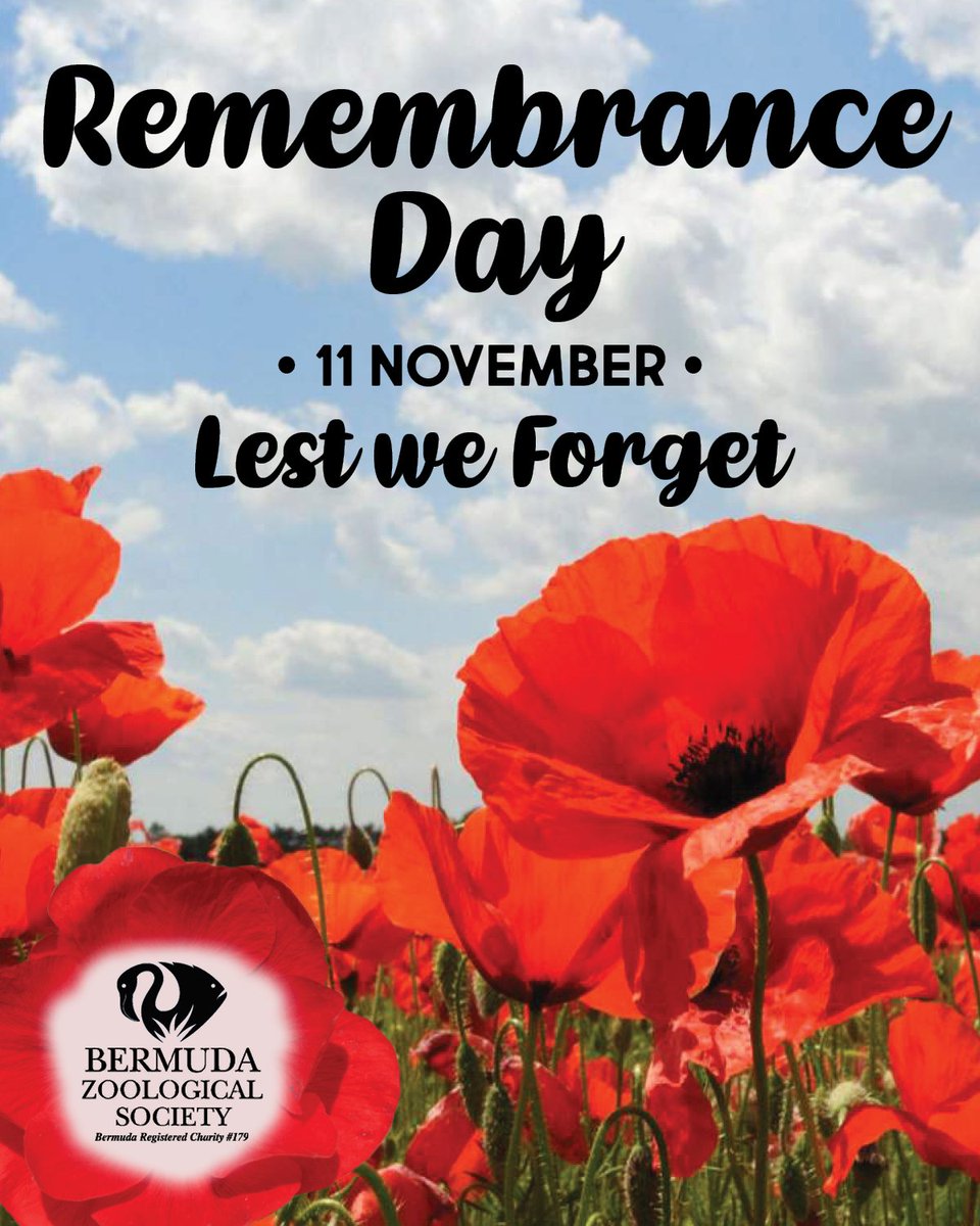 "As we express our gratitude, we must never forget that the highest appreciation is not to utter words, but to live by them.” – John F Kennedy

Today we remember those who gave their tomorrows so that we could have our todays. ❤

#RemembranceDay
#VeteransDay