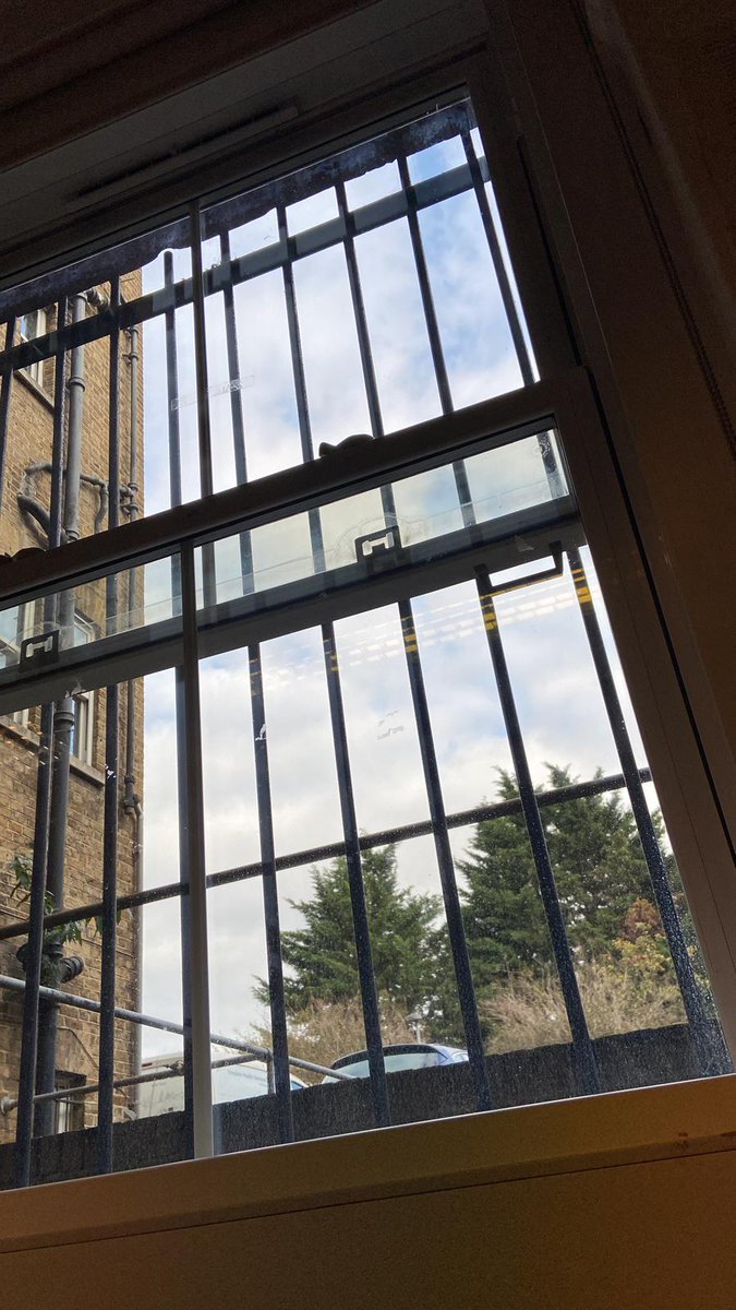 Whit3Wo1f's tweet photo. Both cells in different aspects https://t.co/9bNqELqvxZ