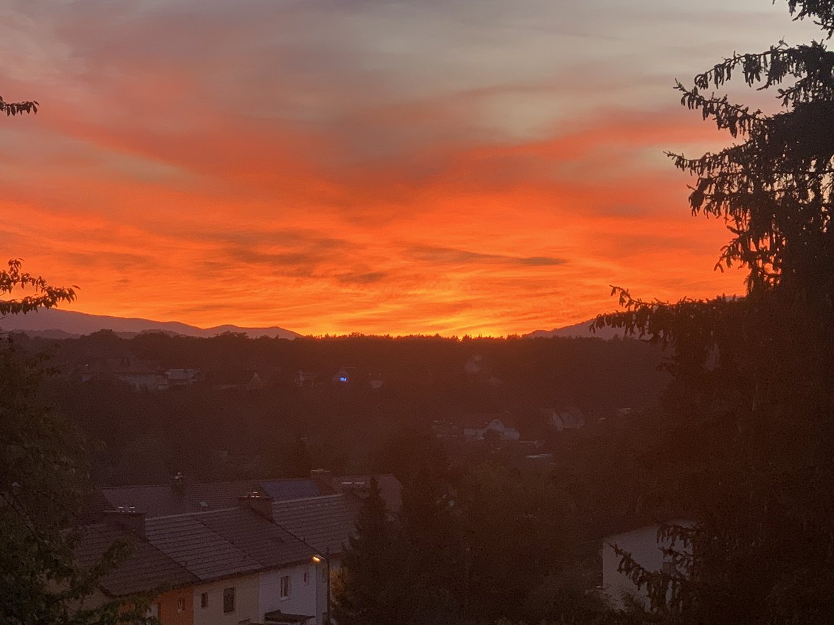 Life in Maribor: (1) wine celebration on St Martin’s Day (2) classroom (3) group dinner (4) apartment balcony. <a href="/binghamtonu/">Binghamton University</a> #fulbright #univerzavmariboru