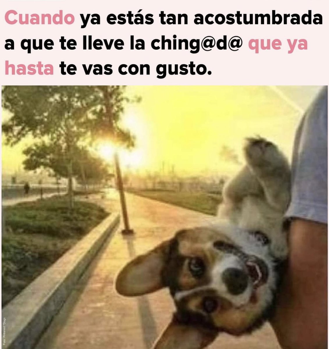YarethGarcia21's tweet photo. Juimonooos pues… 😬😂 https://t.co/oW9taUV9qo