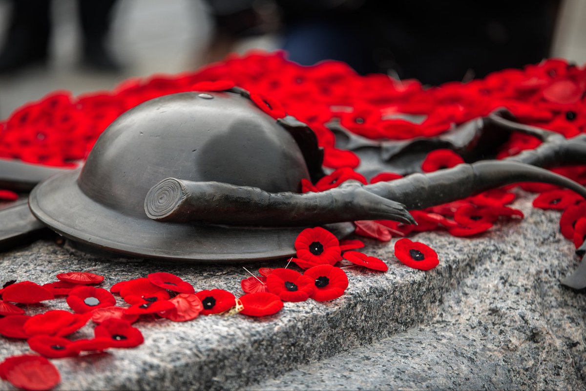 Krishna Burra (@krishnaaburra) on Twitter photo Lest we forget. On Remembrance Day we honour those who gave their lives to serve Canada. <a href="/LimestoneDSB/">Limestone District School Board</a> Lest we forget. On Remembrance Day we honour those who gave their lives to serve Canada. <a href="/LimestoneDSB/">Limestone District School Board</a>