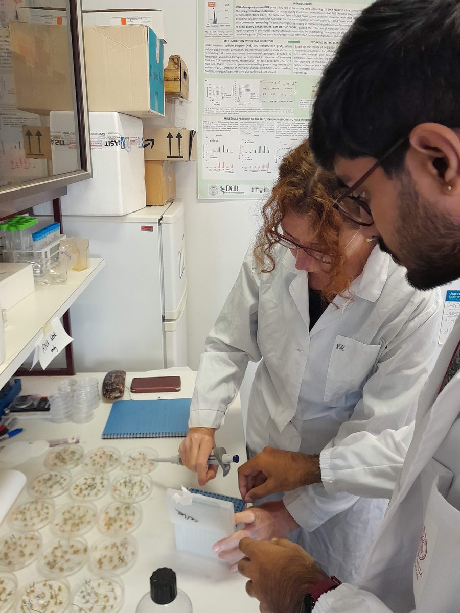 Dept. Biology and Biotechnology @UniPV tweet media