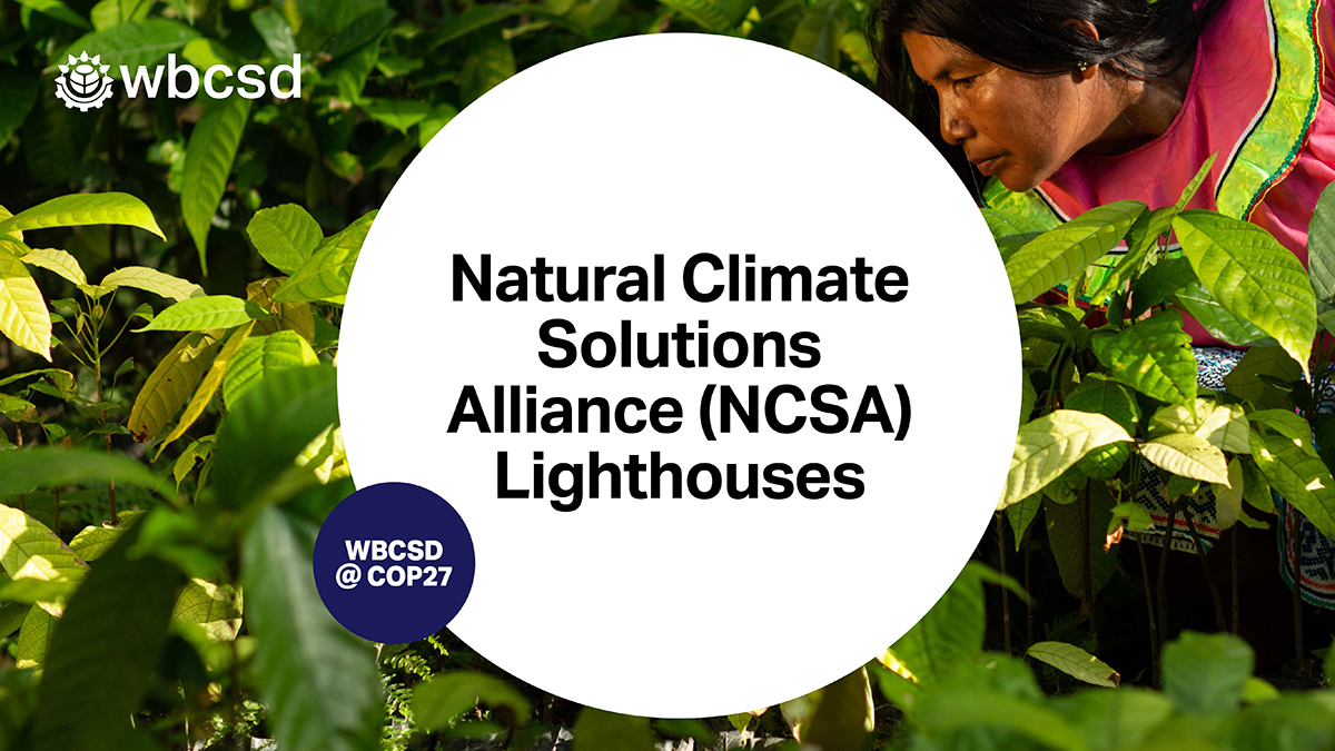 💡 Launching today at #COP27: 8 brand new #NCSLighthouses on how #NaturalClimateSolutions provide positive action for nature conservation, based on management by local communities and Indigenous Peoples. Read the human stories behind the projects: wbcsd.org/NCS-Lighthouses