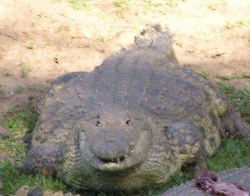 he has risen.

the ultimate flat fuck