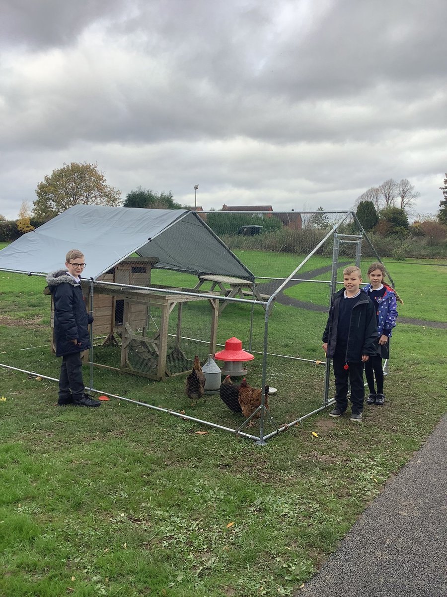 stedwardsceps's tweet photo. Our school chickens looking very happy in their new coop. Thank you to Osprey Class for constructing this.
#teamwork #resilience #learningvalues #schoolchickens #shropshire #dhmat https://t.co/BAMQiSaiQ2