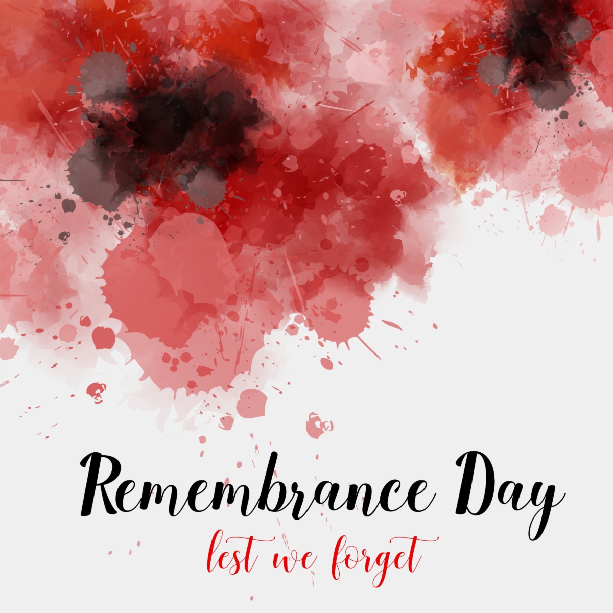 Plasticuts tweet media