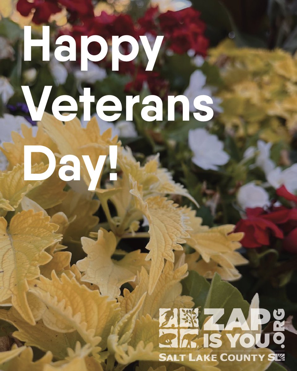 Happy Veterans Day!
Thank you to all those who have served and currently serve our country. We are grateful for your service. #Veteransday