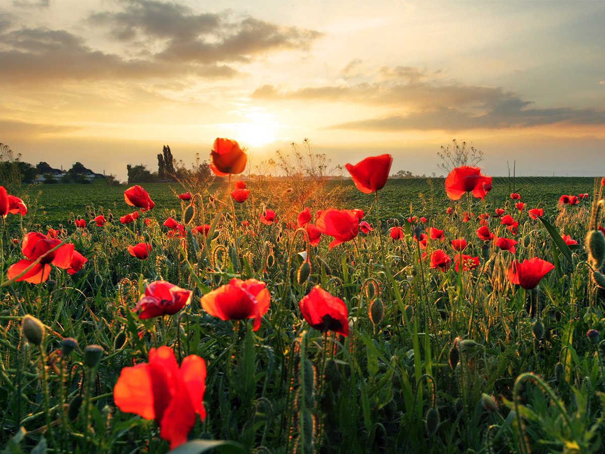 Ontario Home Builders’ Association (OHBA) tweet media