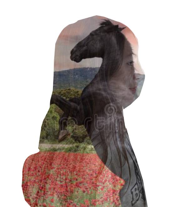 Fernando Garcia tweet media