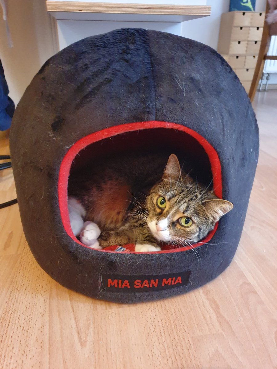 Läuft jetzt ganz gut beim FCB ;-)