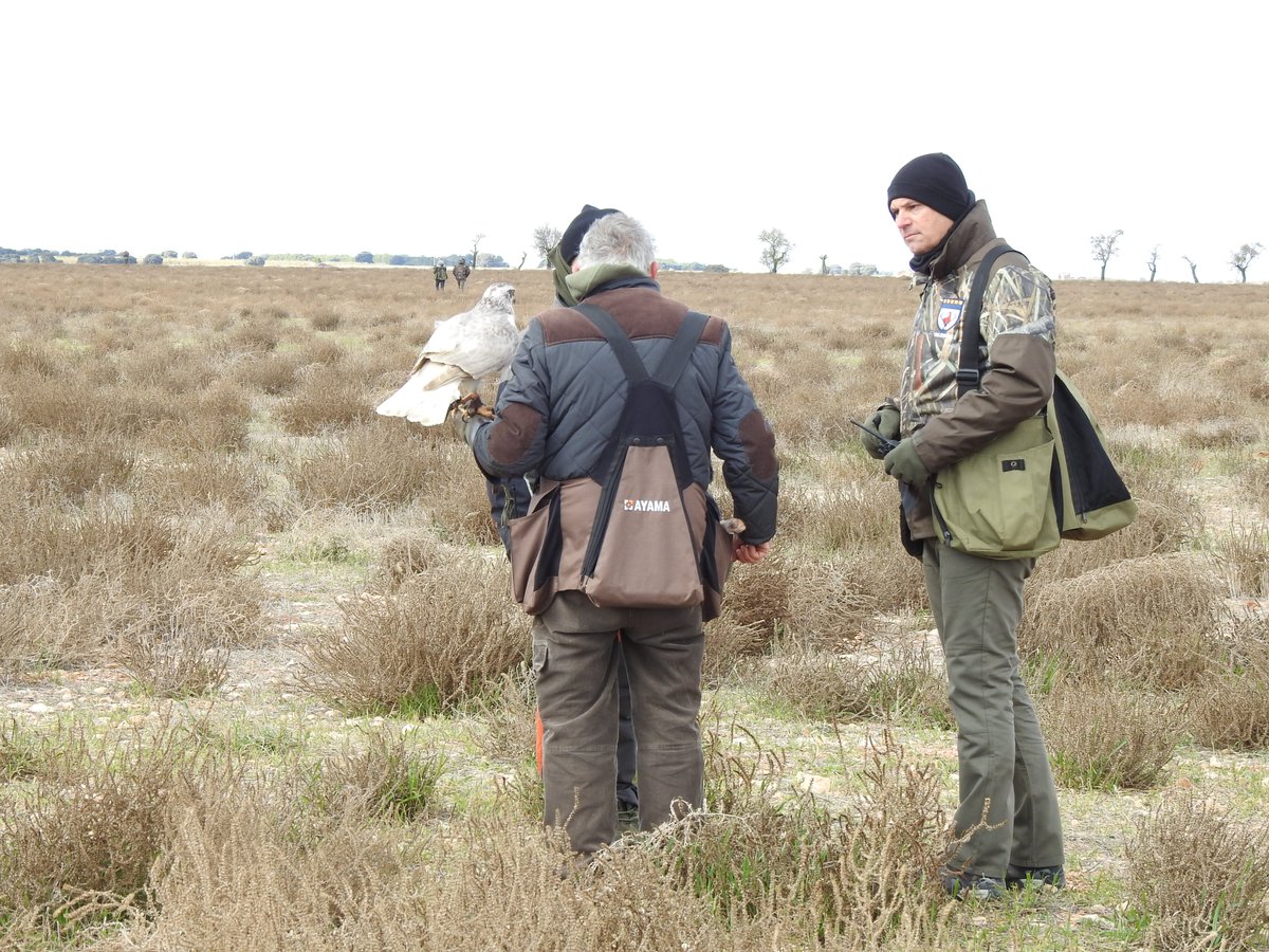 🔜 El noble arte de la cetrería ya llega al calendario deportivo de la RFEC.

🦅 Del 25 al 27 de noviembre disfrutaremos del Campeonato de España de Cetrería en Bellpuig (Lleida).

😀 ¿Estáis preparados? ¡Os esperamos!