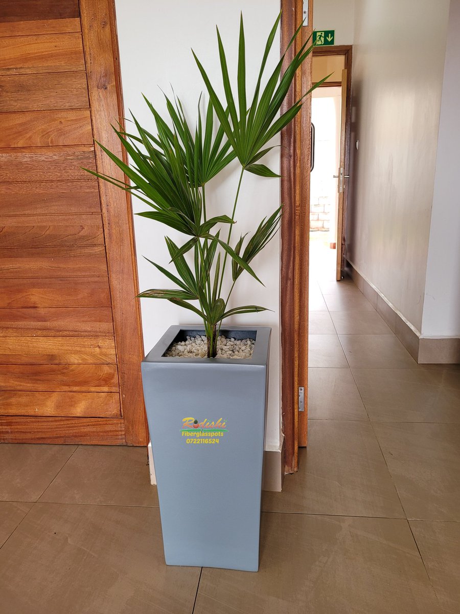 Rodishifibrepot's tweet photo. Spruce up your space with our unique fibre pots for both indoor and outdoor https://t.co/yy7ZfMTKpj us via 0723557461 or visit the main shop on Kiambu rd Ridgeways.
#architectural #indoorplant #planters #Troughs #pottedplants #pots #luxury #modernpots #outdoorpots #fibrepots https://t.co/Wt62Sx9wQN