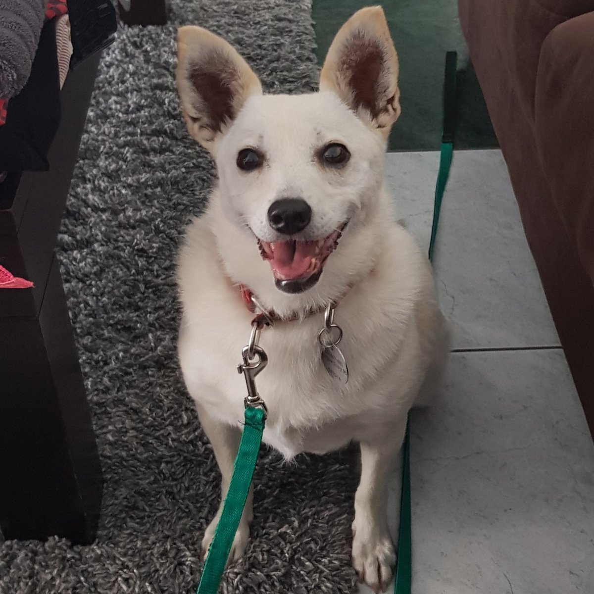 kunvisi0n's tweet photo. @moremarriott she's a happy girl:) https://t.co/cMU1yy2GOx