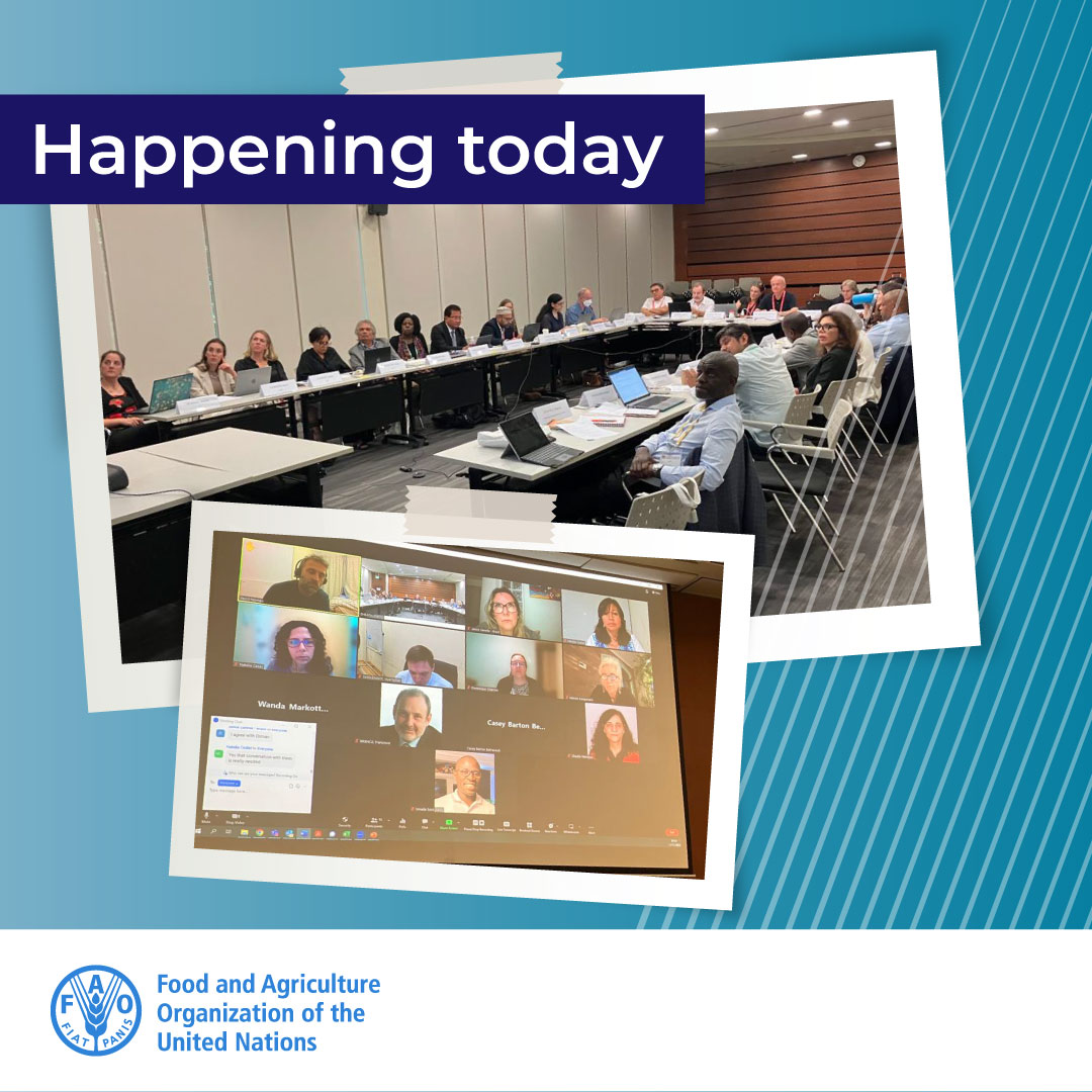 FAOLivestock's tweet photo. 📢 At the 8th full panel meeting of the #OneHealth High-Level Expert Panel (#OHHLEP), the Advisory Group of the Quadripartite (@FAO, @WOAH, @WHO, @UNEP) will update on the status of workplan and promote a #OneHealth science-based approach to pandemic prevention

#WOHC2022 https://t.co/dvSGJ5ioX3