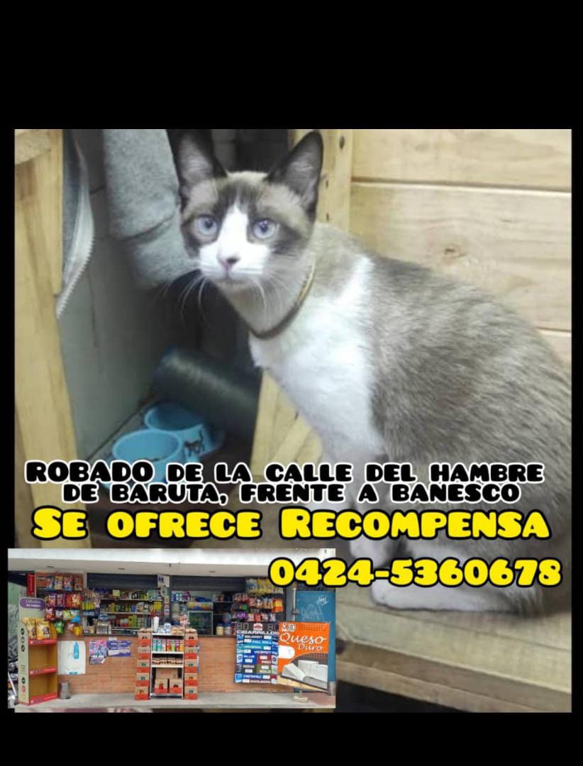 Difundir
